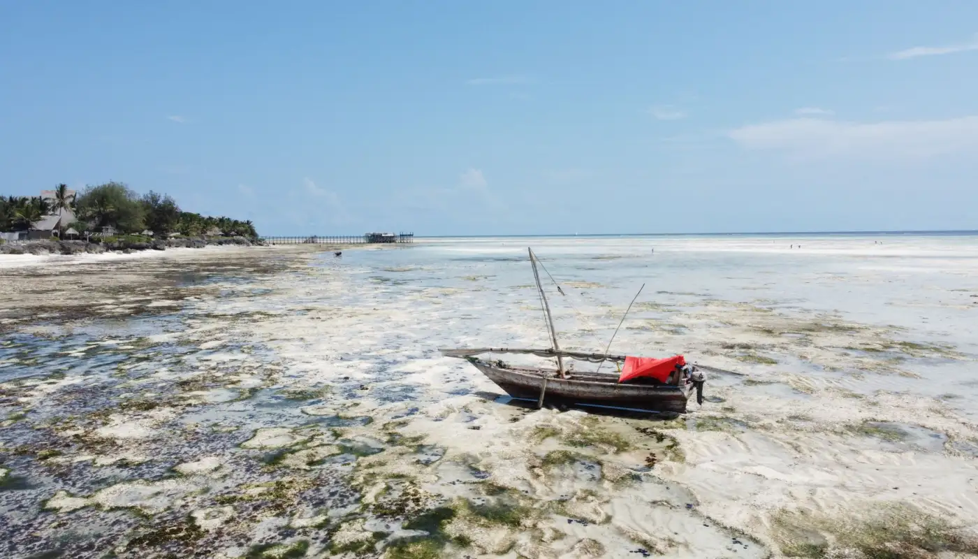 Boutre de pêche échoué sur le platier de corail à marée basse, algues découvertes et hôtel en arrière-plan, côte de Zanzibar