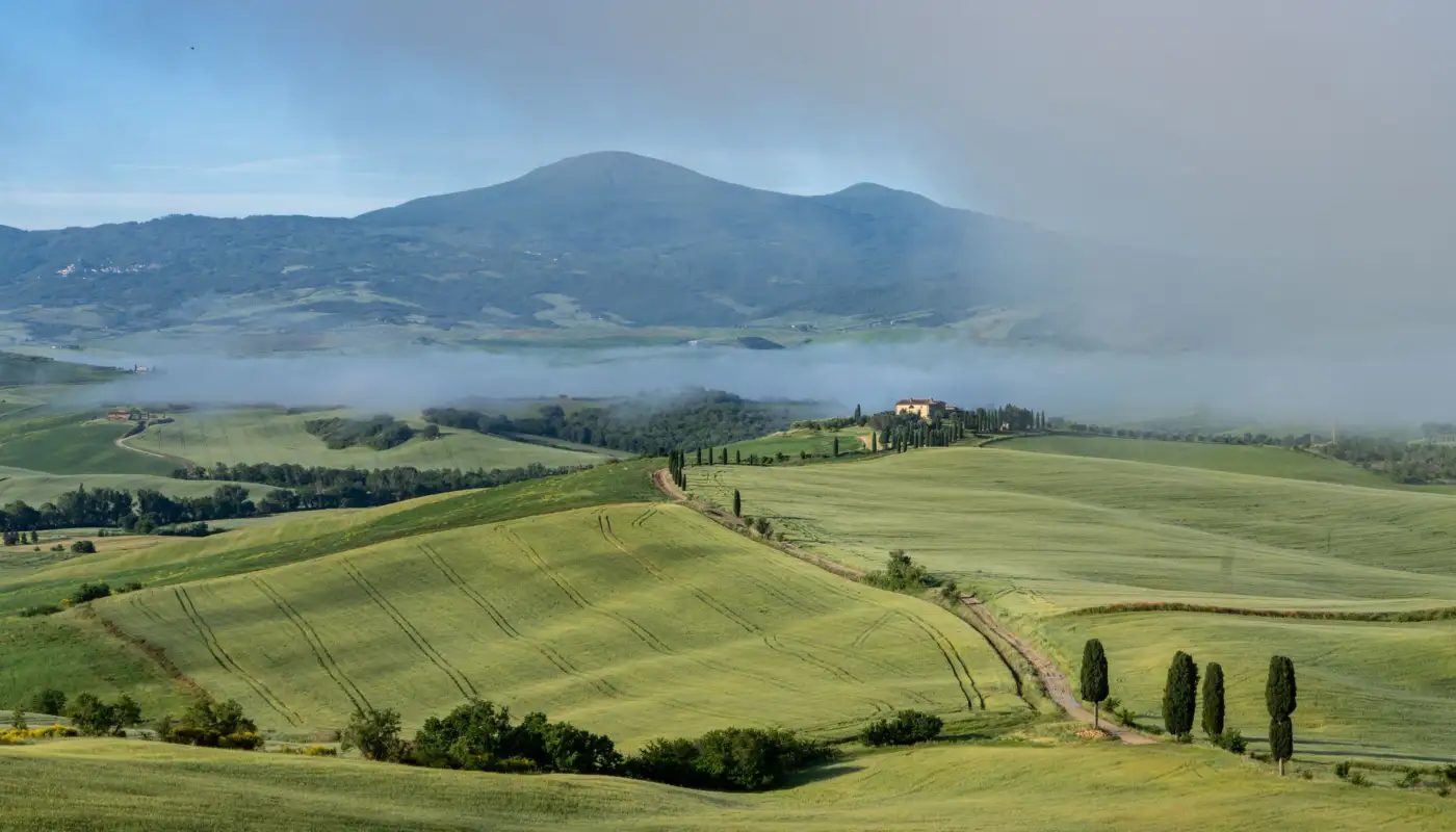 Collines ondulantes et cyprès près de San Quirico d'Orcia, dans le Val d'Orcia en Toscane