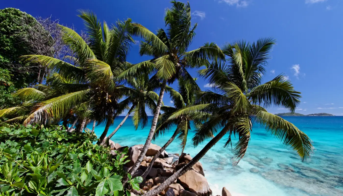 Plage de La Digue aux Seychelles avec cocotiers penchés, rochers de granit et lagon turquoise
